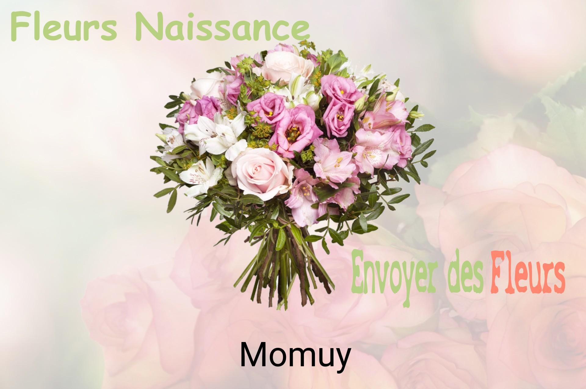 Bouquet de fleurs de naissance livré à Momuy