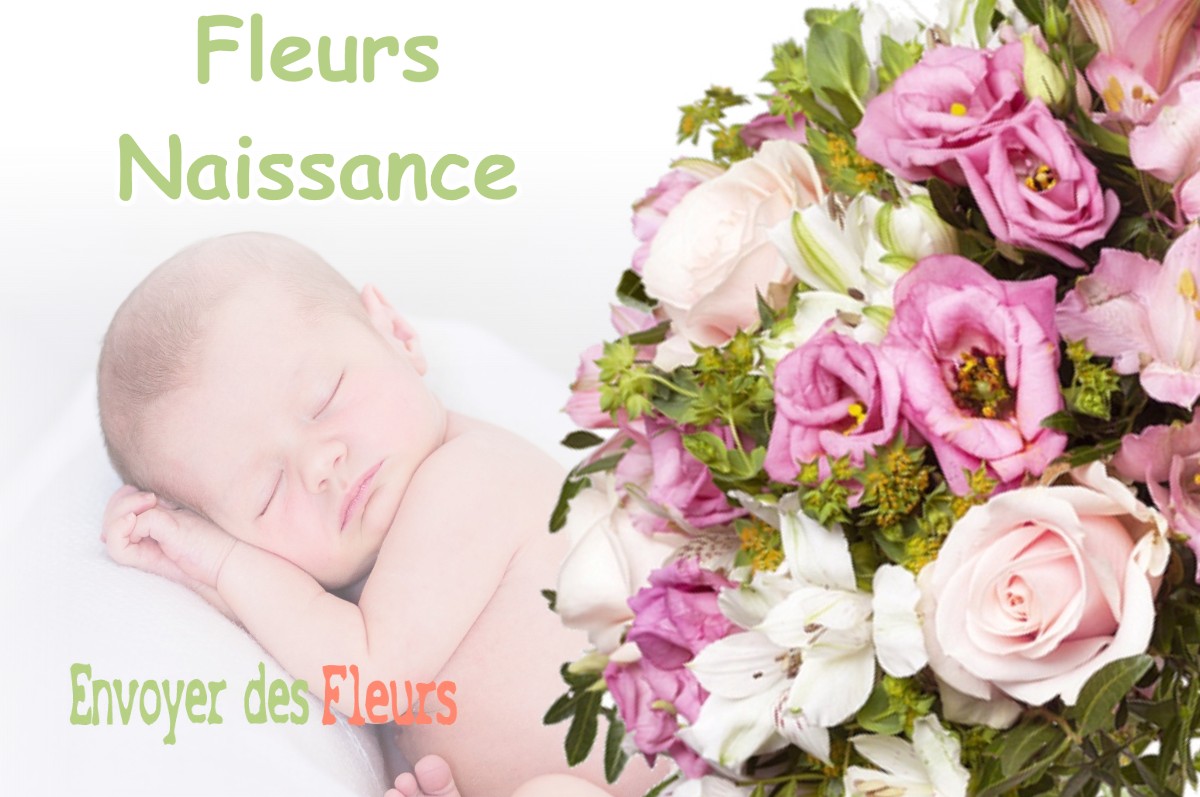 lIVRAISON FLEURS NAISSANCE à MOMUY